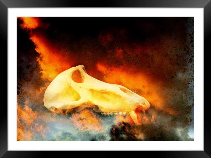 On fire Framed Mounted Print by Maria Tzamtzi Photography