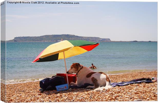 Dog on the Beach Canvas Print by Nicola Clark