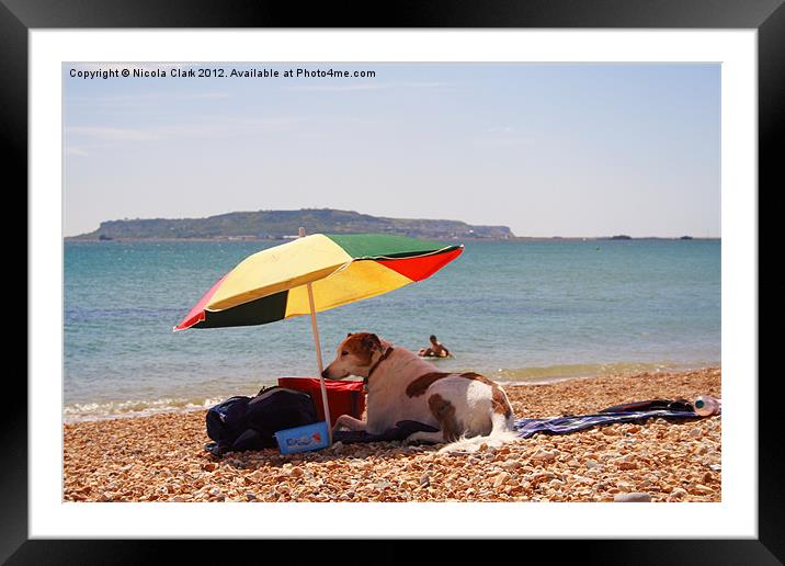Dog on the Beach Framed Mounted Print by Nicola Clark