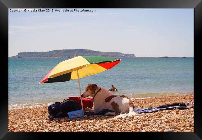 Dog on the Beach Framed Print by Nicola Clark