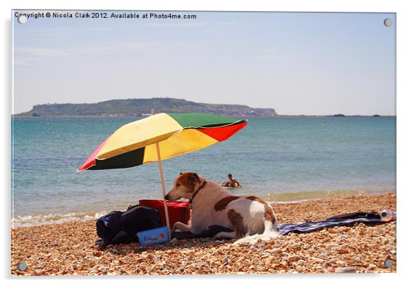 Dog on the Beach Acrylic by Nicola Clark