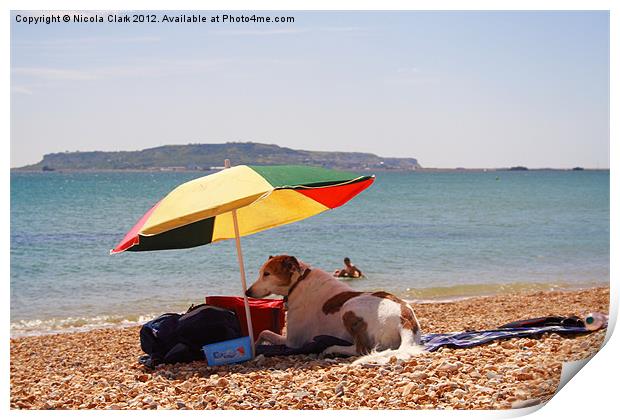 Dog on the Beach Print by Nicola Clark