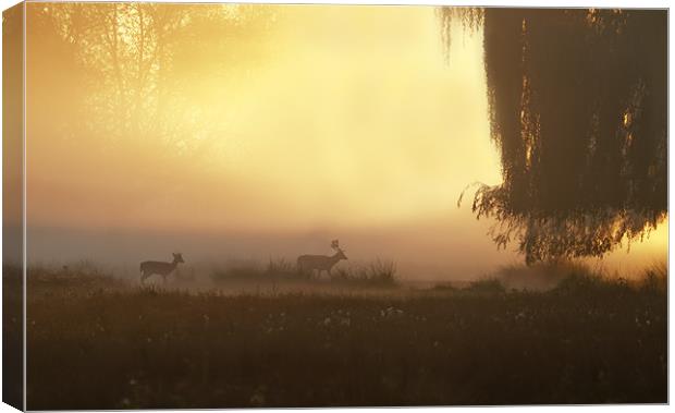 Morning in the Park Canvas Print by Val Saxby LRPS
