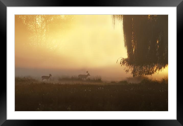 Morning in the Park Framed Mounted Print by Val Saxby LRPS