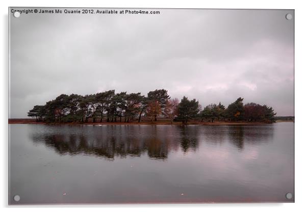 Hatchet Pond, New Forest Acrylic by James Mc Quarrie