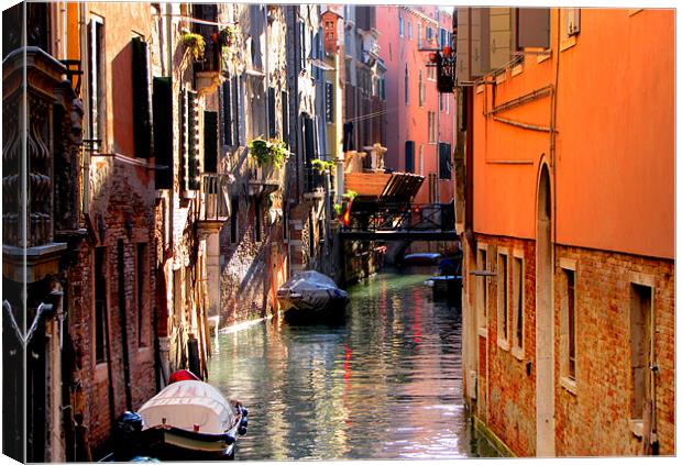 Venice in October Canvas Print by barbara walsh