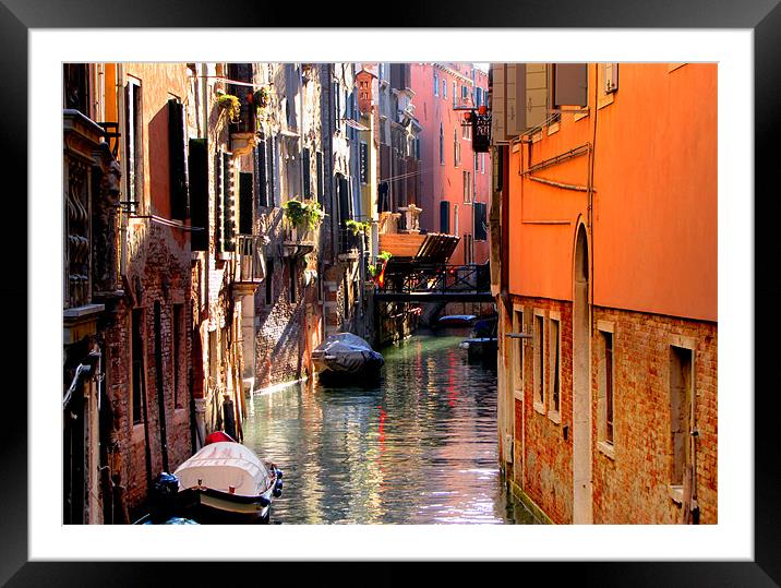 Venice in October Framed Mounted Print by barbara walsh