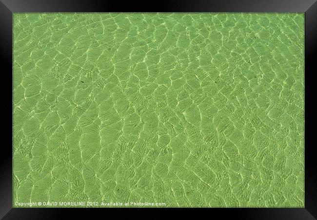 SHALLOW WATER Framed Print by David Moreline