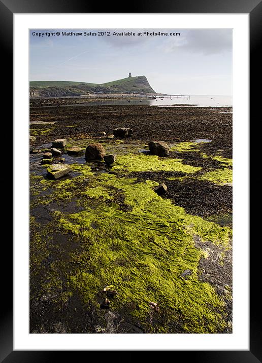 Kimmeridge Bay Sea weed Framed Mounted Print by Matthew Bates