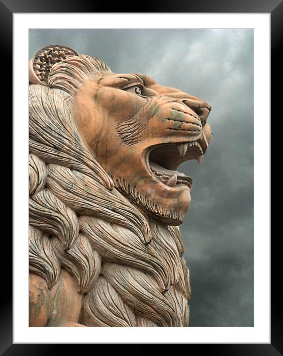 King of the Jungle Framed Mounted Print by Wayne Molyneux