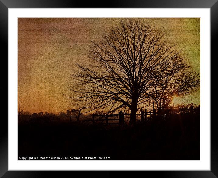 Textured Tree with Sunset Framed Mounted Print by Elizabeth Wilson-Stephen