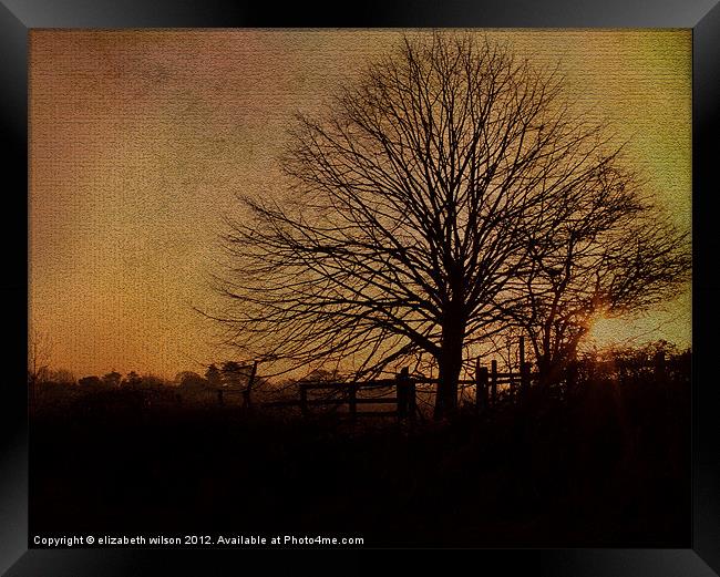 Textured Tree with Sunset Framed Print by Elizabeth Wilson-Stephen