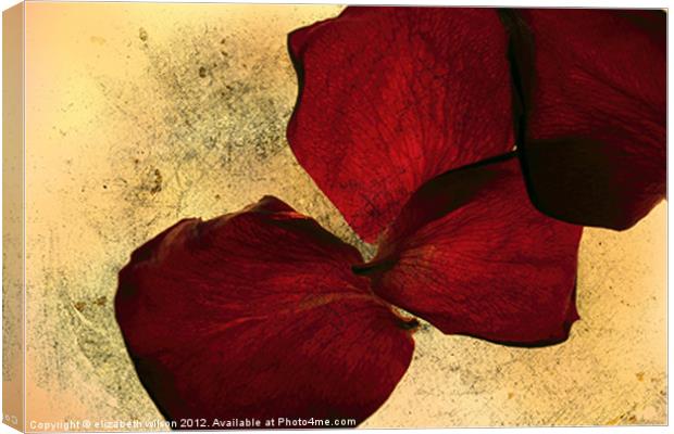 Textured Rose Petals Canvas Print by Elizabeth Wilson-Stephen