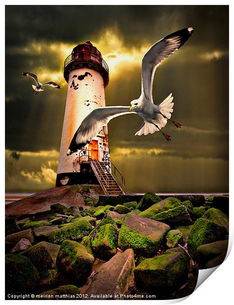 Talacre lighthouse with seagulls Print by meirion matthias