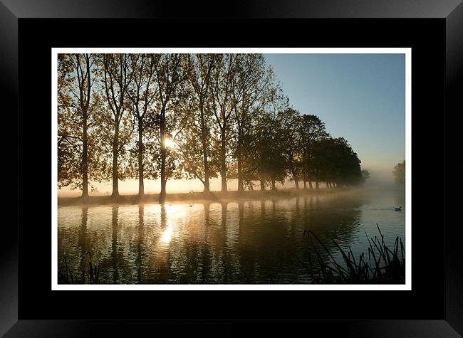 Misty Morning by the River Framed Print by Simon Deacon