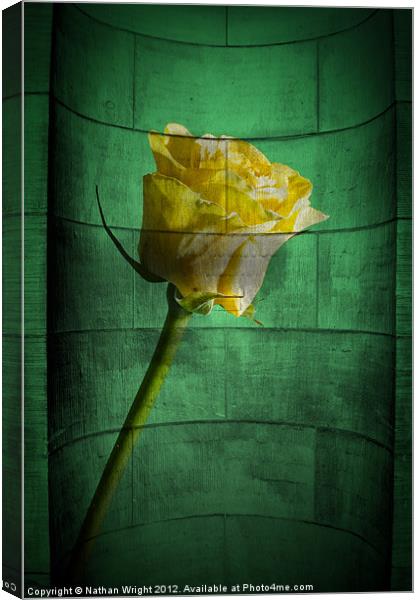 Stone rose Canvas Print by Nathan Wright