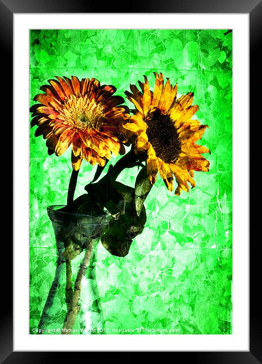 Creative blumen Framed Mounted Print by Nathan Wright