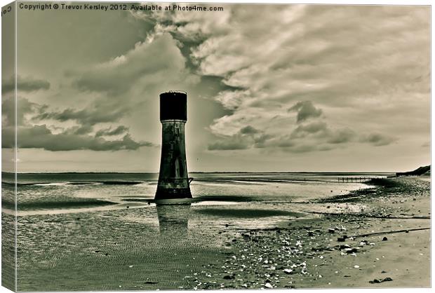 Morning on the Humber Estuary Canvas Print by Trevor Kersley RIP