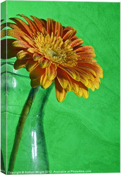 Yellow flower Canvas Print by Nathan Wright