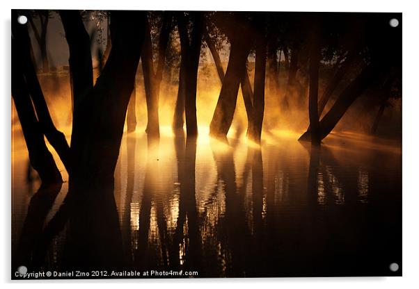 Light Maze Acrylic by Daniel Zrno