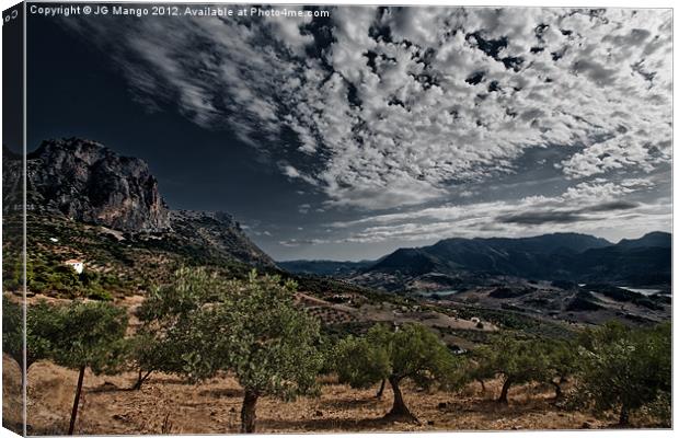 Andalucia Mountain Sky Olive Grove Canvas Print by JG Mango