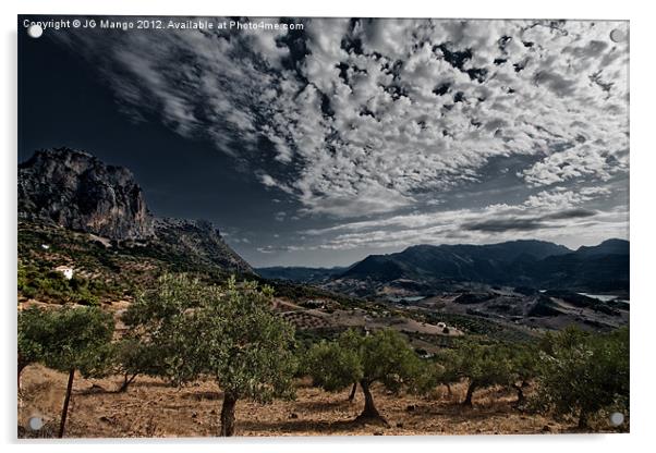 Andalucia Mountain Sky Olive Grove Acrylic by JG Mango
