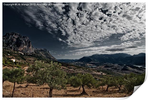 Andalucia Mountain Sky Olive Grove Print by JG Mango