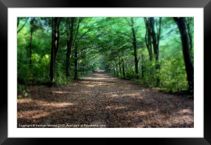 Friston Forest, Sussex Framed Mounted Print by Hannah Morley