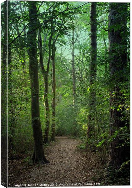 Friston Forest, Sussex Canvas Print by Hannah Morley