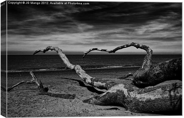 Fallen Tree on Beach Canvas Print by JG Mango