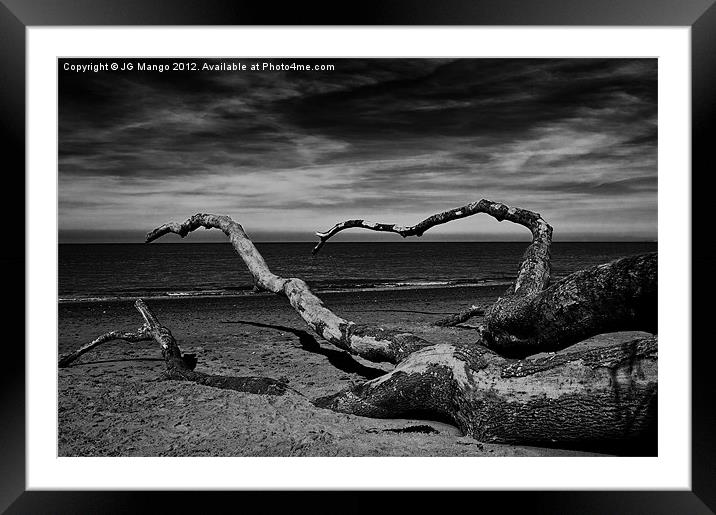 Fallen Tree on Beach Framed Mounted Print by JG Mango