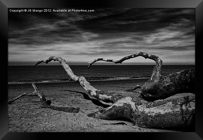 Fallen Tree on Beach Framed Print by JG Mango