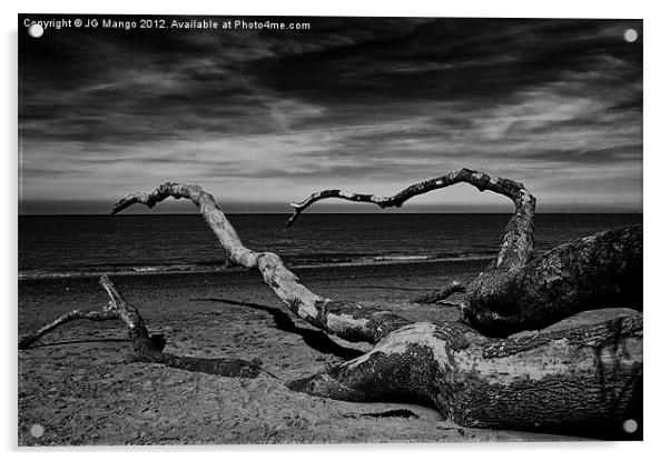 Fallen Tree on Beach Acrylic by JG Mango