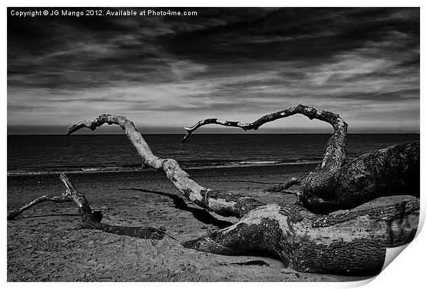 Fallen Tree on Beach Print by JG Mango
