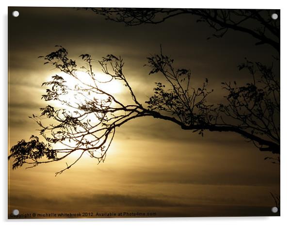 Sunrise Acrylic by michelle whitebrook