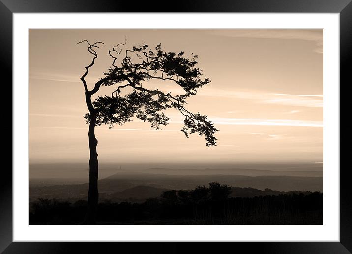 Windswept at Mow Cop Framed Mounted Print by Wayne Molyneux