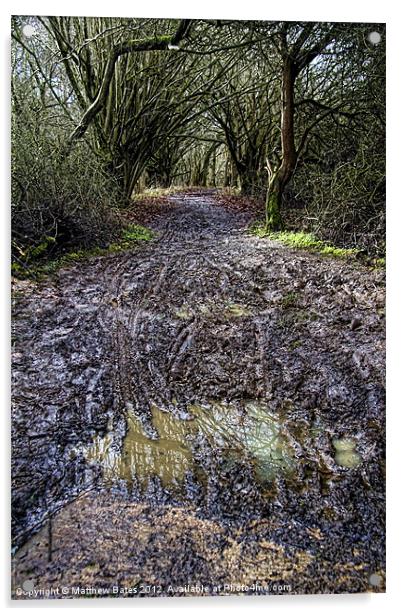 Muddy Path Acrylic by Matthew Bates