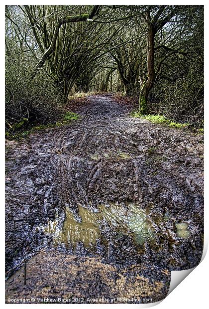 Muddy Path Print by Matthew Bates