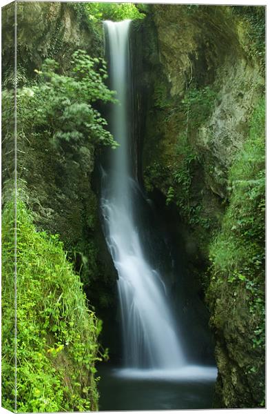 Waterfall at Dyserth Canvas Print by Wayne Molyneux