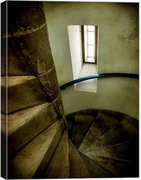 spiral staircase Canvas Print by Heather Newton