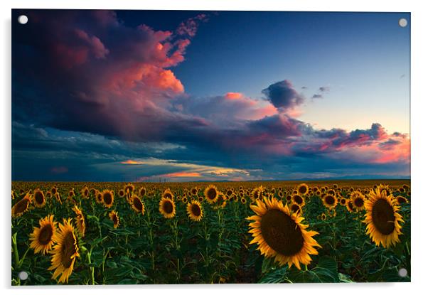 Skies Of A Summer Sunset Acrylic by John De Bord