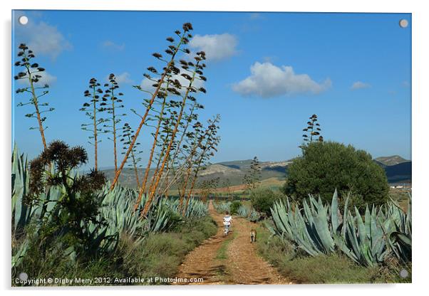 A walk through the agave Acrylic by Digby Merry