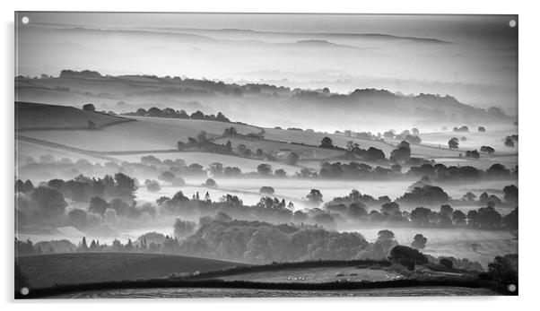 Morning Mists Acrylic by Daniel Bristow