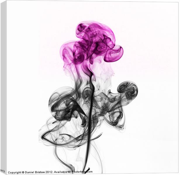 Abstract smoke flower. Canvas Print by Daniel Bristow