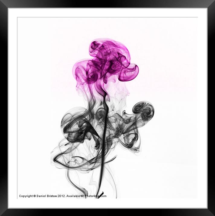 Abstract smoke flower. Framed Mounted Print by Daniel Bristow