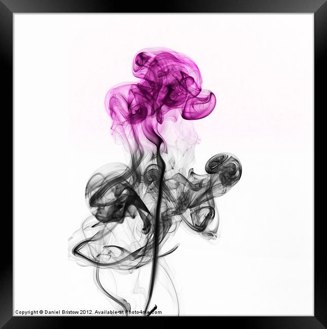 Abstract smoke flower. Framed Print by Daniel Bristow