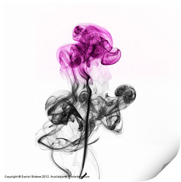 Abstract smoke flower. Print by Daniel Bristow