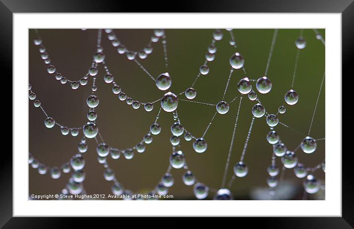 Droplets of water on spiders web Framed Mounted Print by Steve Hughes