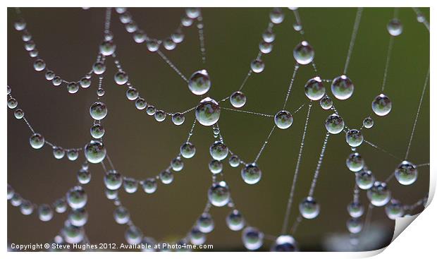 Droplets of water on spiders web Print by Steve Hughes