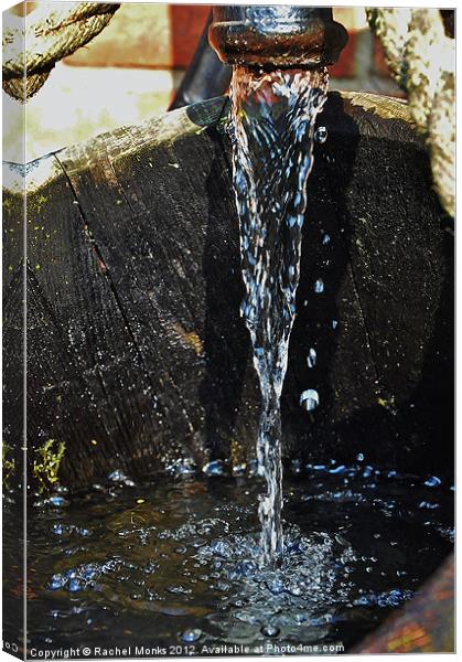 Water Feature Canvas Print by Rachel Monks
